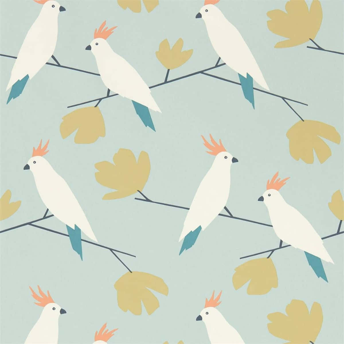 Cockatoo Pattern Wallpaper Wallpaper