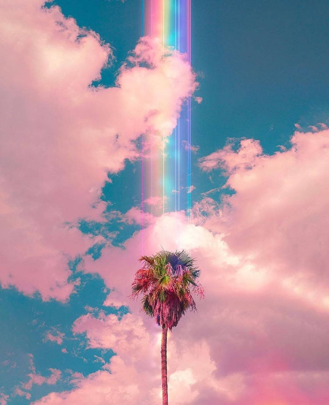 Coconut Tree Clouds Aesthetics Wallpaper