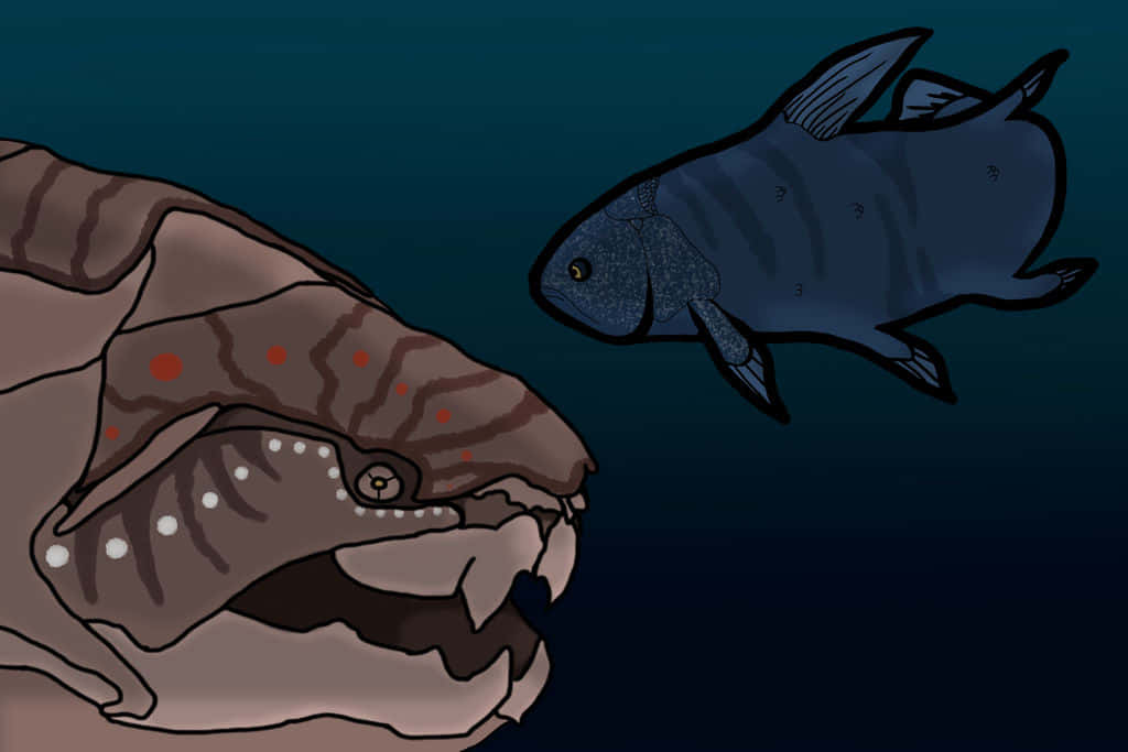 Coelacanth_ Encounter_ Underwater Wallpaper