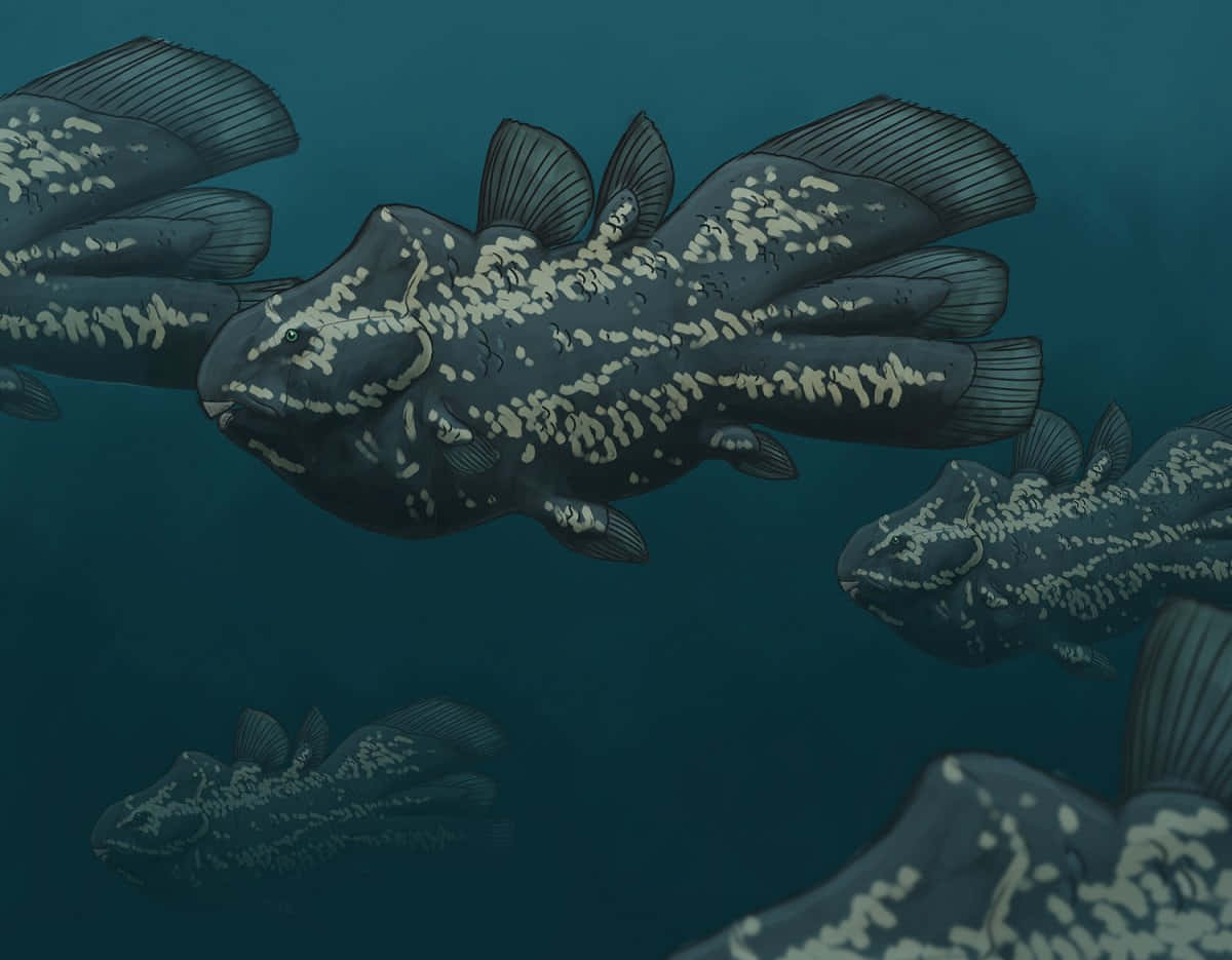 Coelacanths Swimming Deep Sea Wallpaper