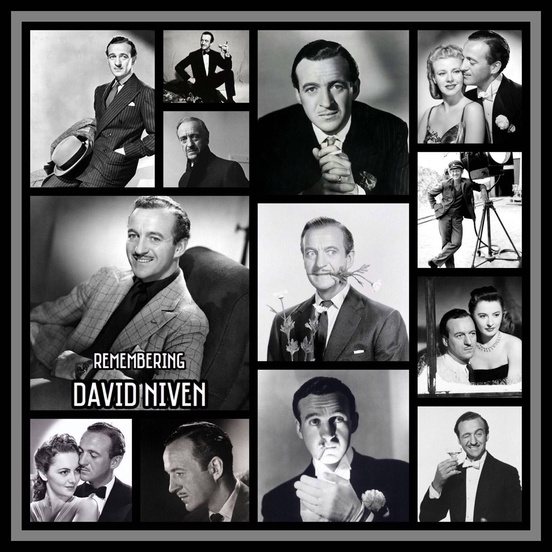 Collection Of Photos David Niven Wallpaper