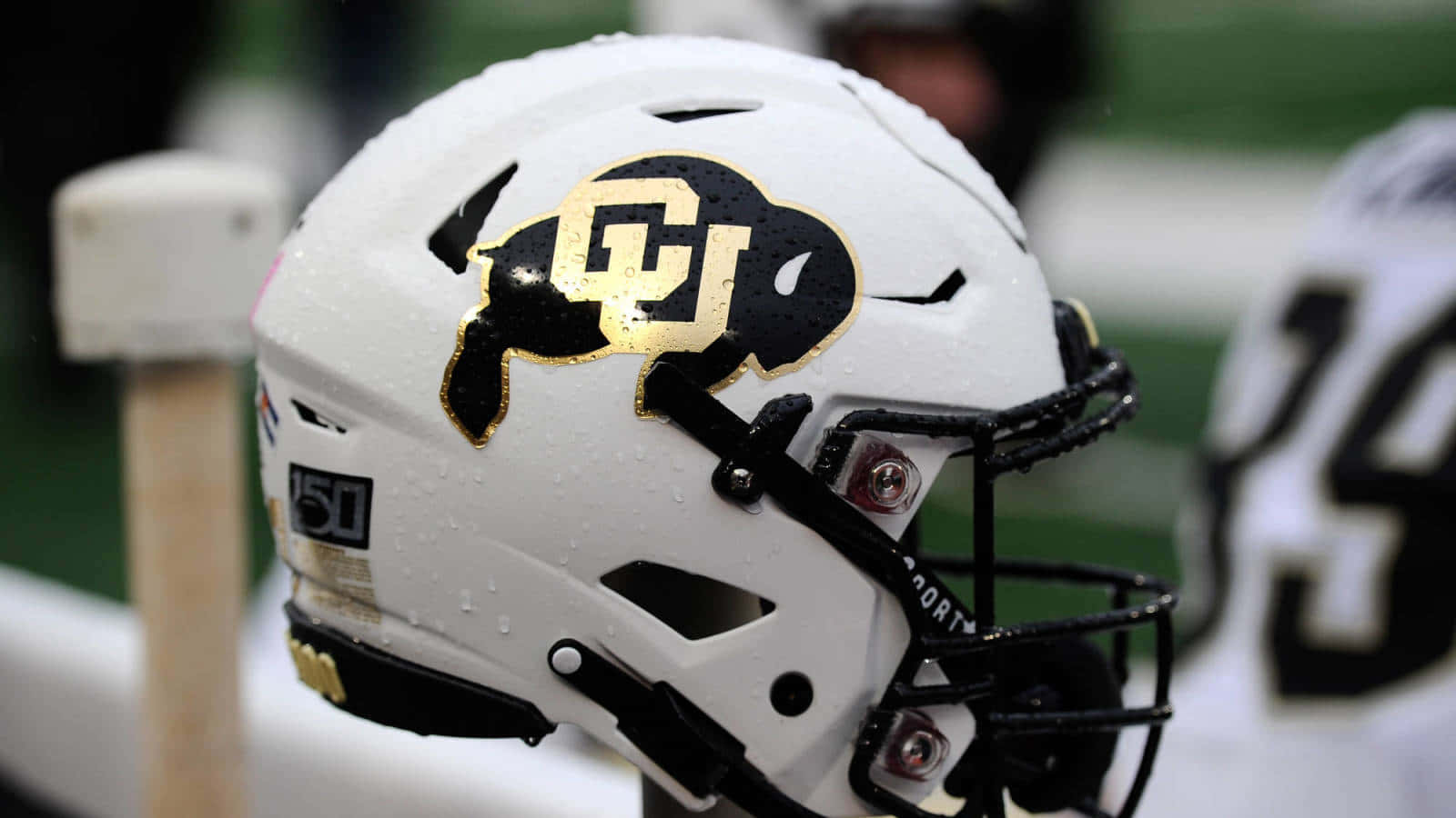 Colorado Buffaloes Football Helmet Raindrops Wallpaper