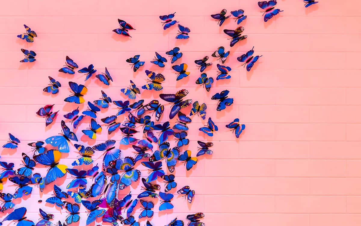 Colorful Butterflies Wall Art Wallpaper