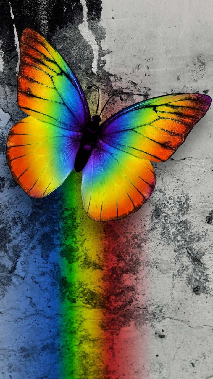 Colorful Butterfly Effect Wall Art Wallpaper