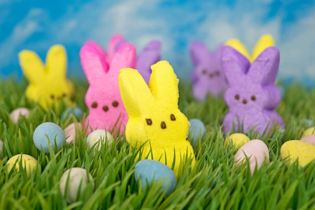 Colorful Easter Peepsin Grass Wallpaper