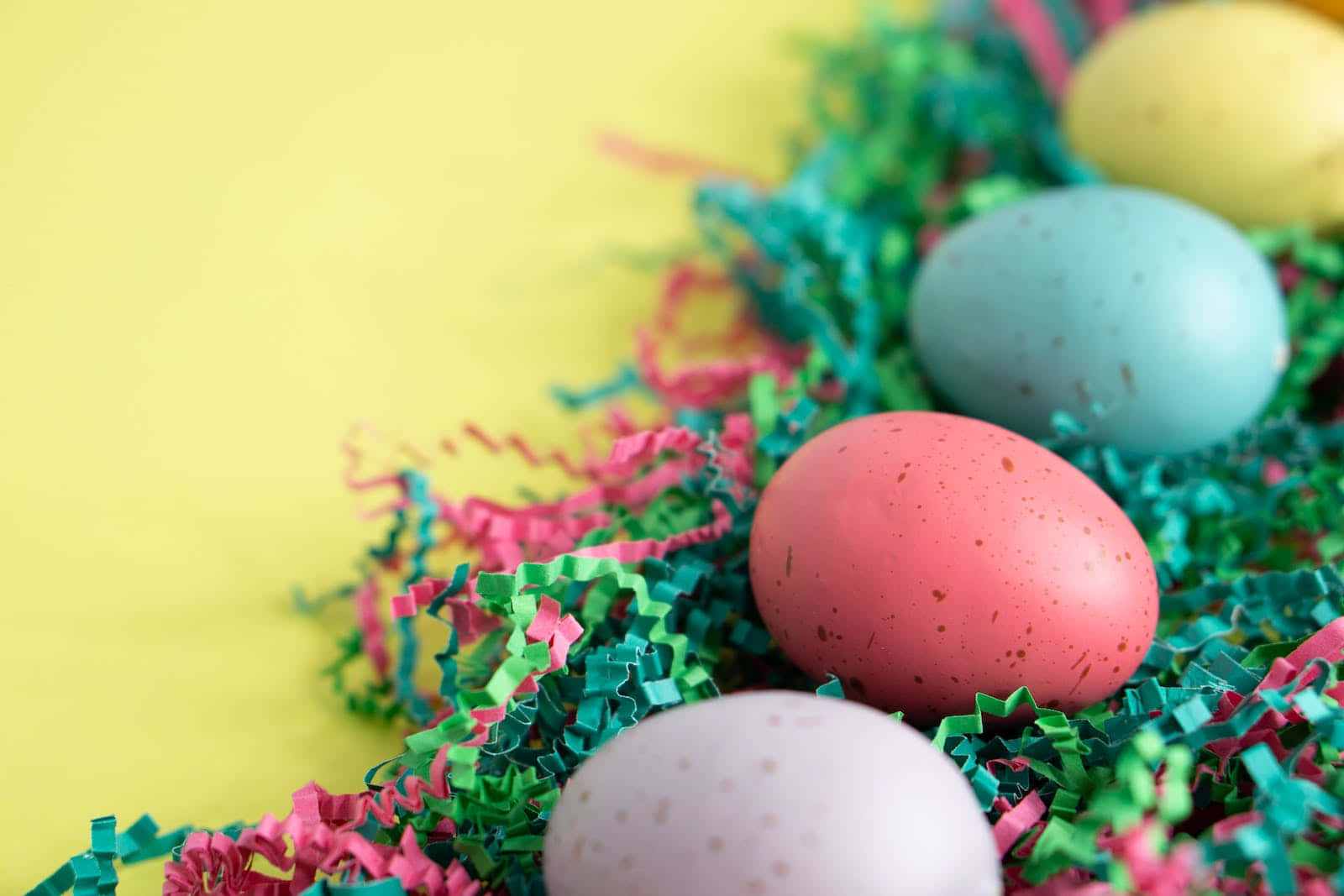 Colorful Eggs In Soft Pastel Shades For Easter. Wallpaper