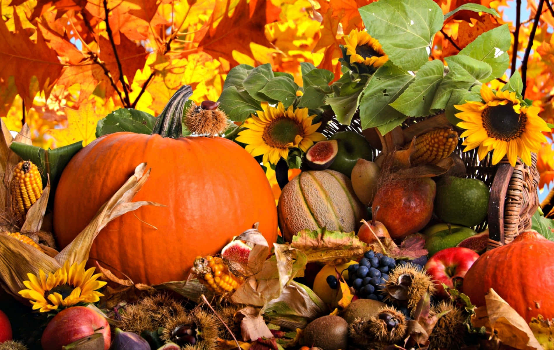 Colorful Fall Crafts Arranged On Wooden Table Wallpaper