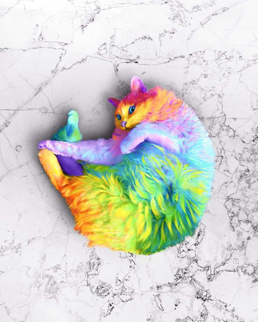 Colorful Fantasy Cat Art Wallpaper