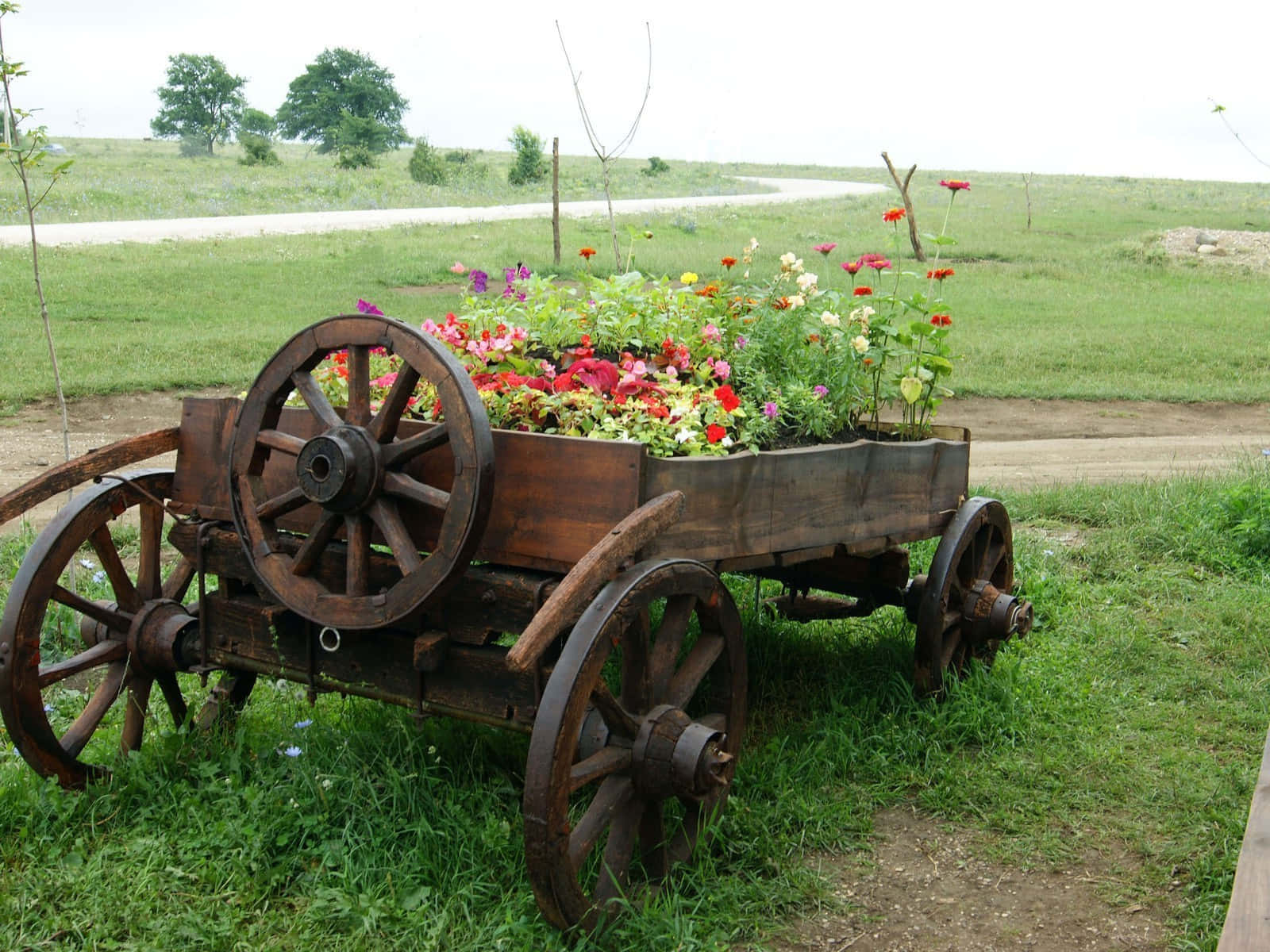 Colorful Flower Cart On Cobblestone Street Wallpaper