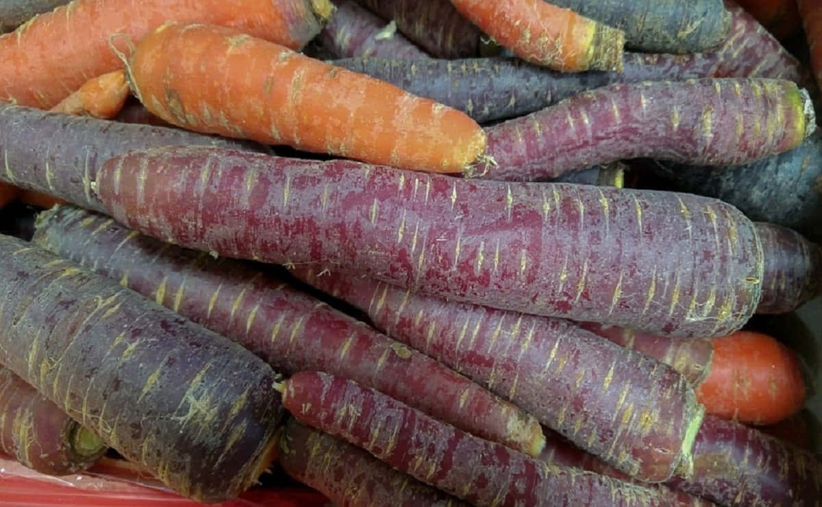 Colorful, Nutritious And Delicious Purple Carrots Wallpaper