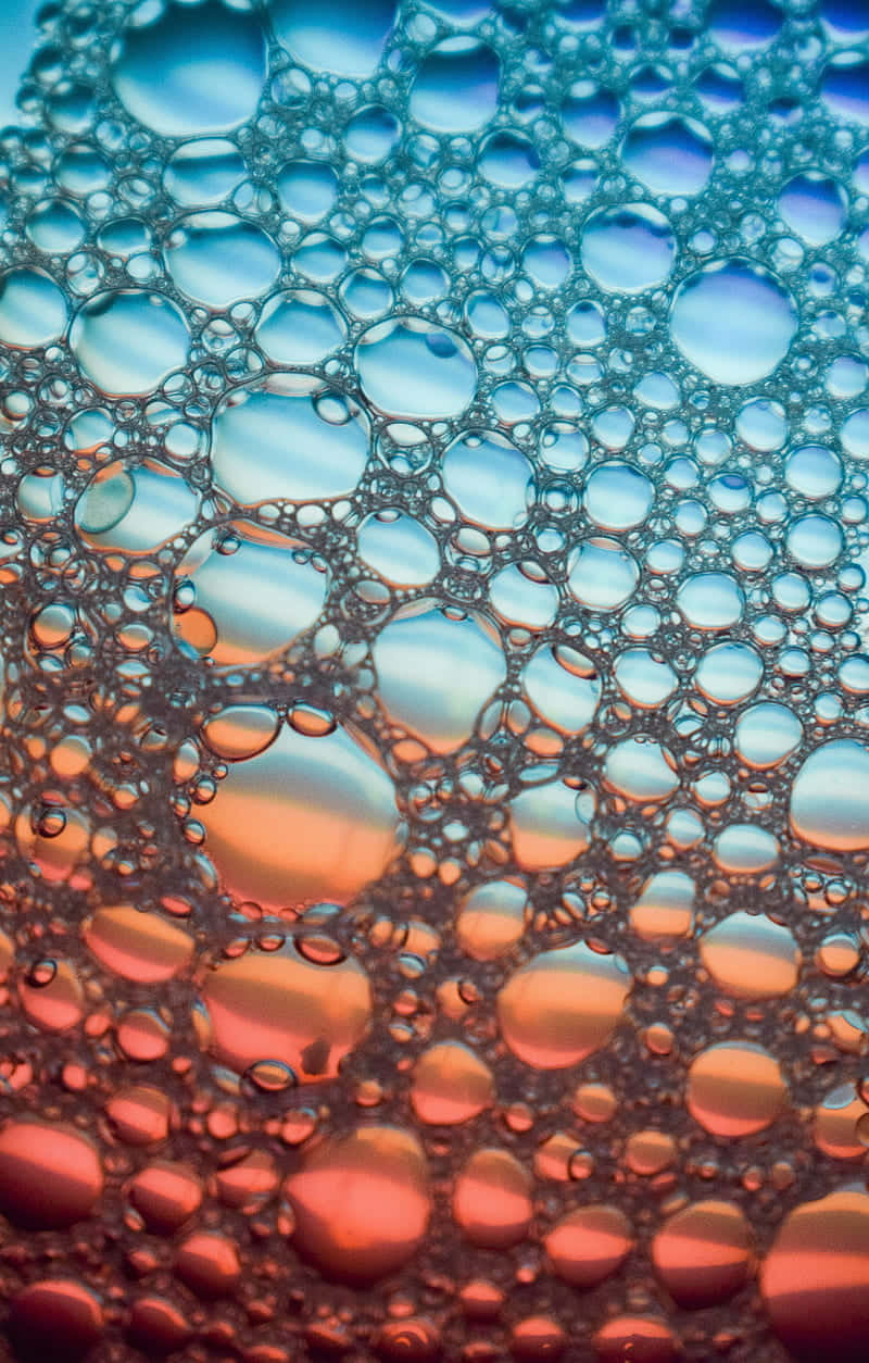 Colorful Soap Bubble Artistry Wallpaper