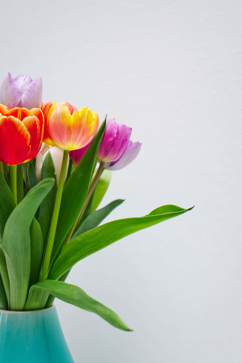 Colorful Tulipsin Blue Vase Wallpaper