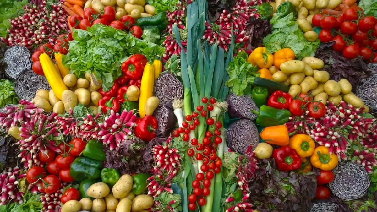 Colorful Vegetable Assortment World Vegetarian Day Wallpaper