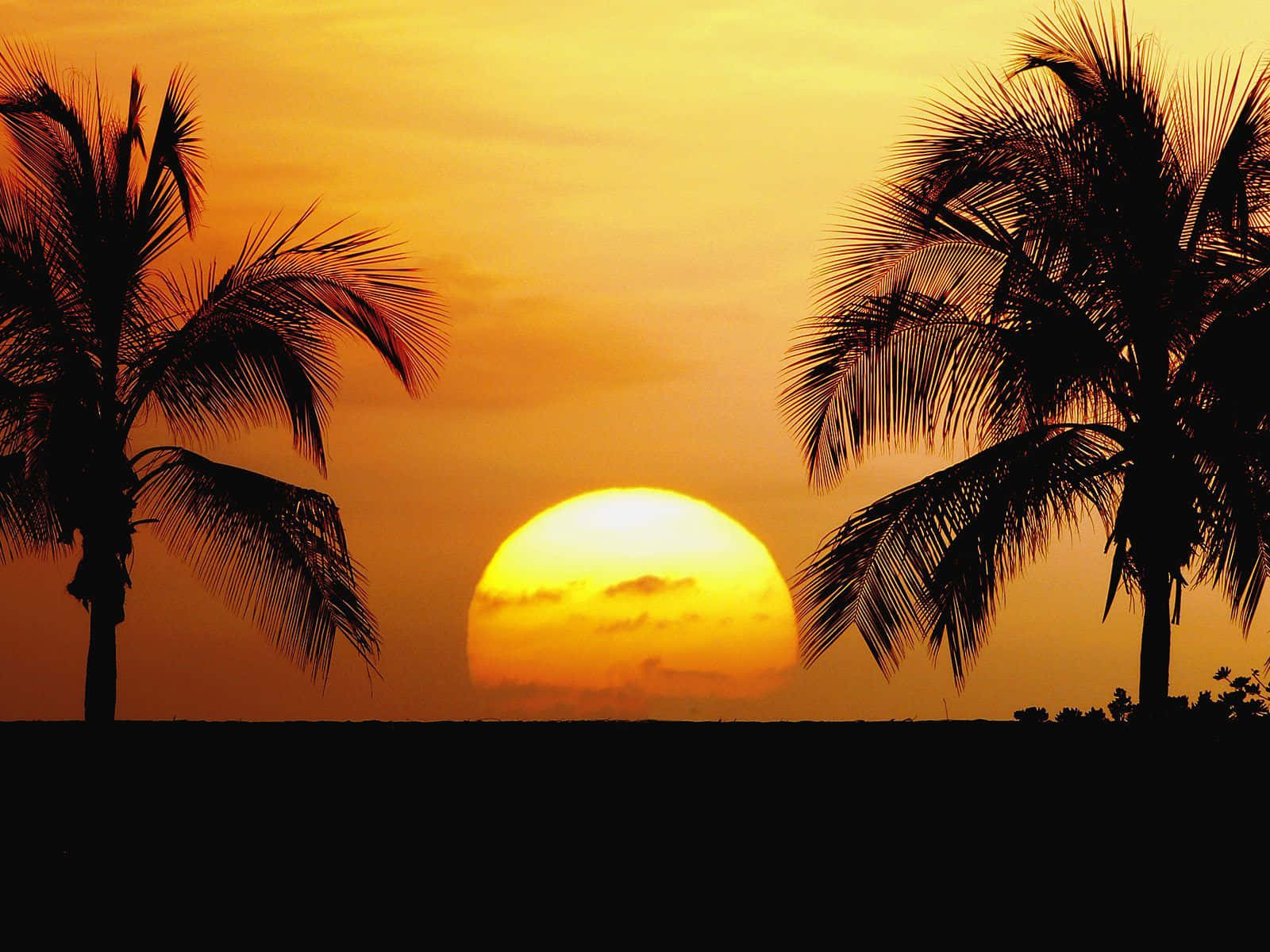 “colors Of Paradise, Hawaii Sunset.” Wallpaper