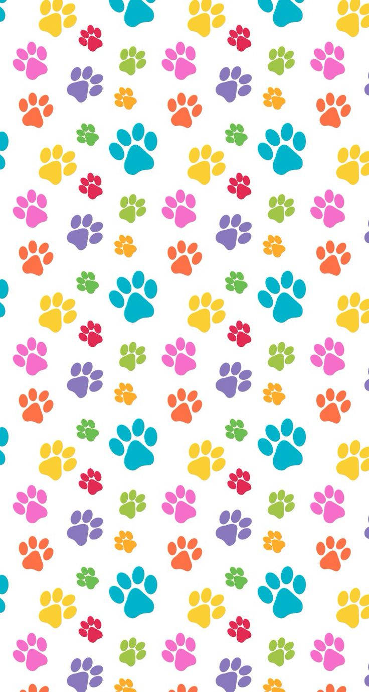 Colourful Paws Cute Iphone Lock Screen Wallpaper