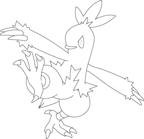 Combusken Drawing Outline Wallpaper