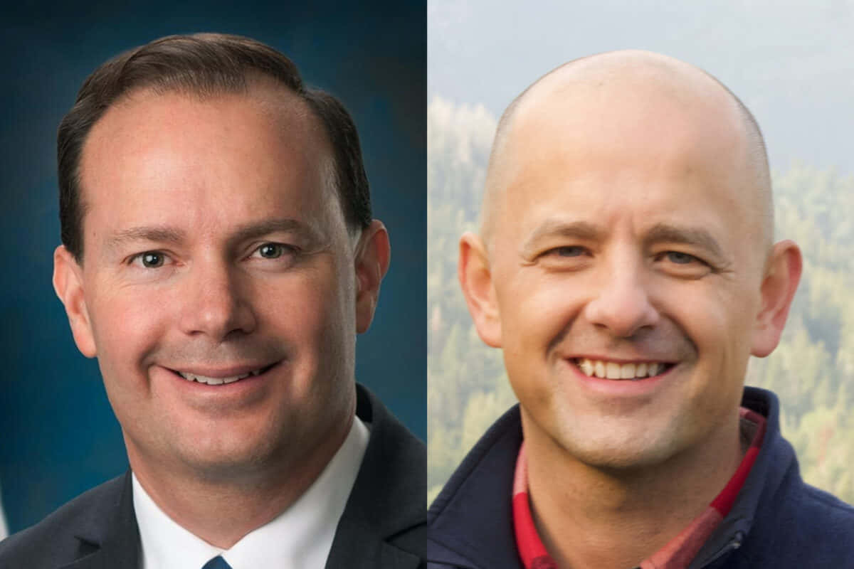 Comparative Portraits Evan Mc Mullin Wallpaper