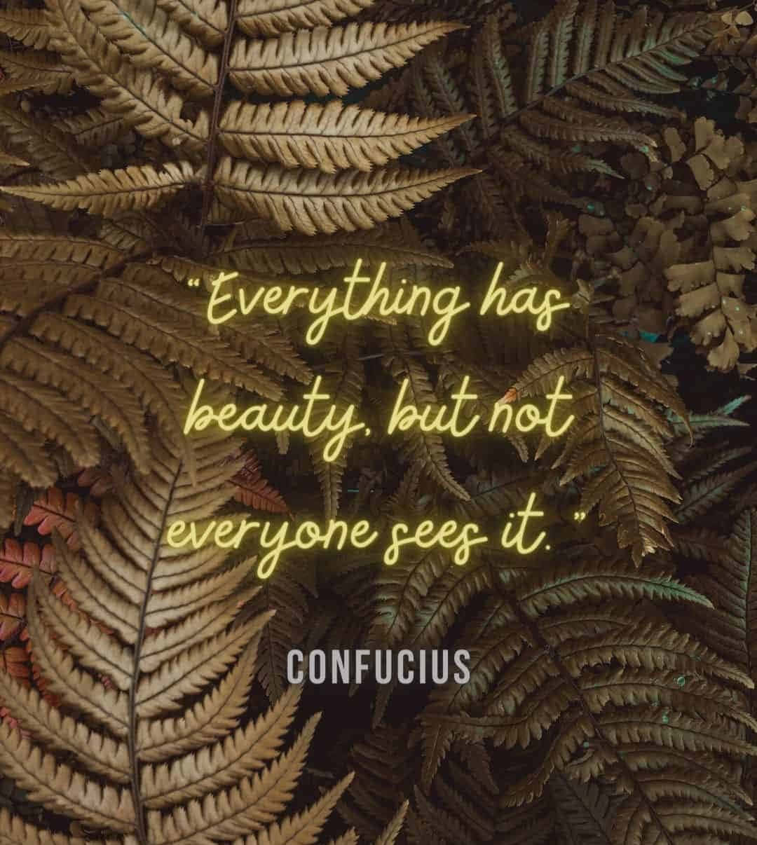 Confucius Beauty Quote Fern Leaves Wallpaper