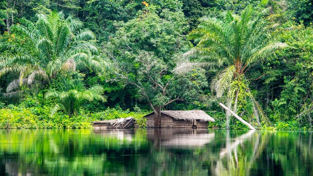 Congo Riverbank Hut Reflection Wallpaper