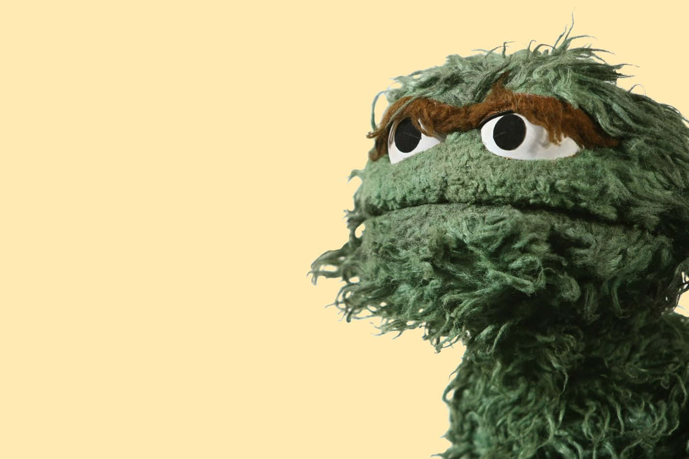 Contemptuous Oscar The Grouch Wallpaper