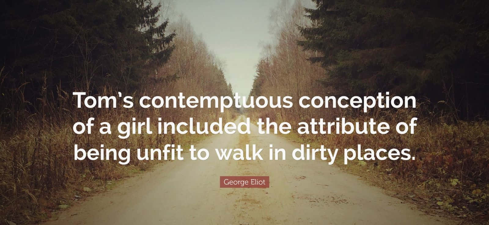 Contemptuous Quote Hd Desktop Wallpaper