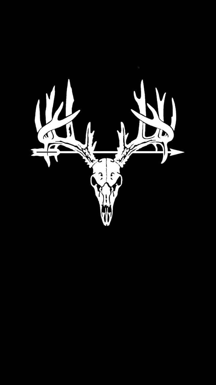 Cool Deer Iphone Screensaver Wallpaper