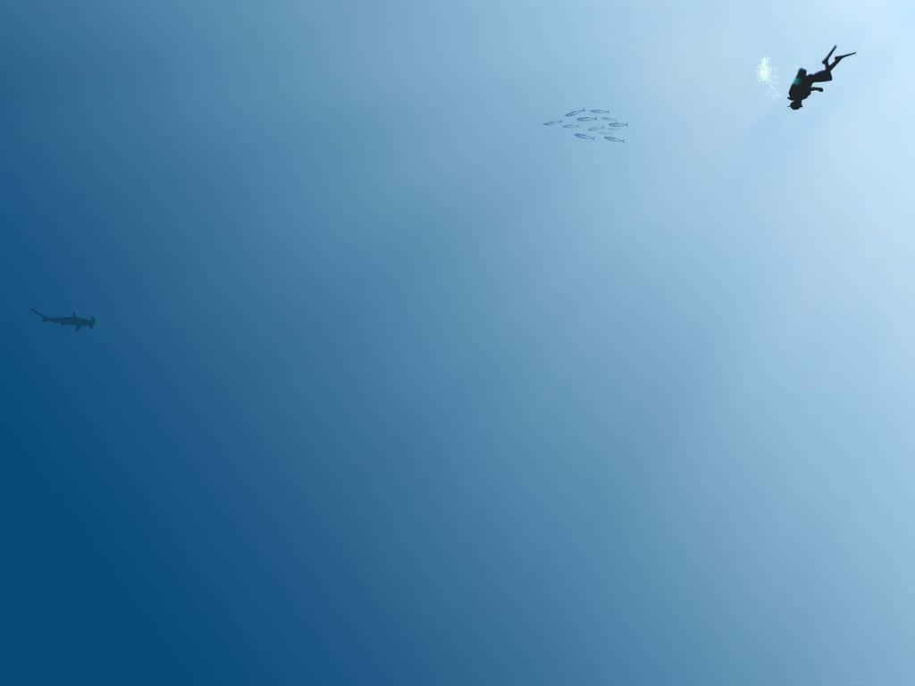 Cool Minimalist Diver Wallpaper