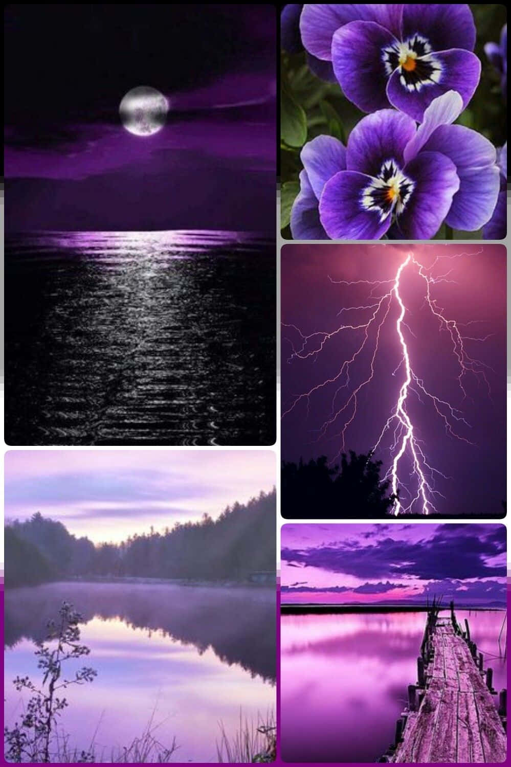 Cool Purple Asexual Color Collage Wallpaper