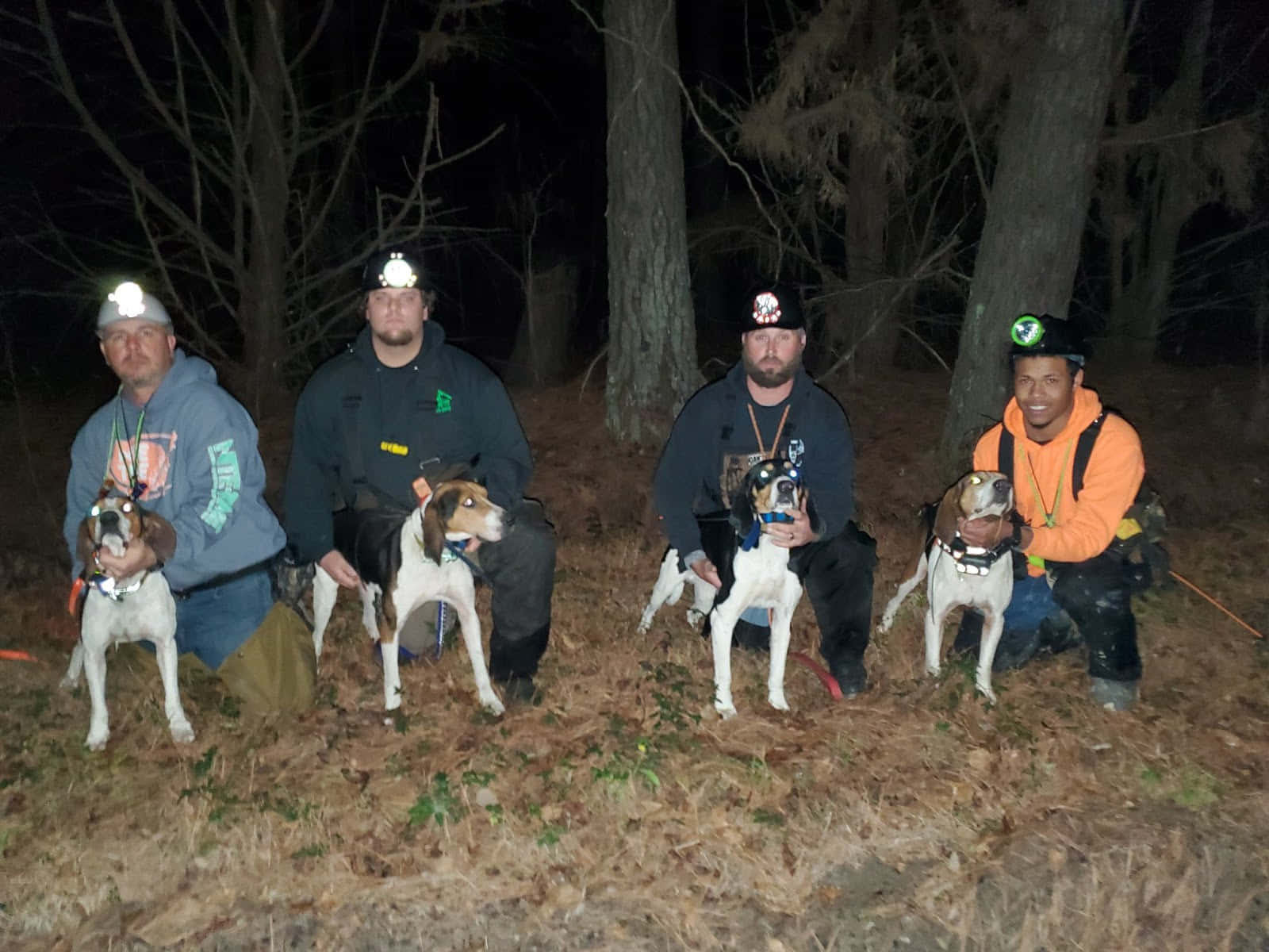 Coon Hunters With Dogs Nighttime Wallpaper