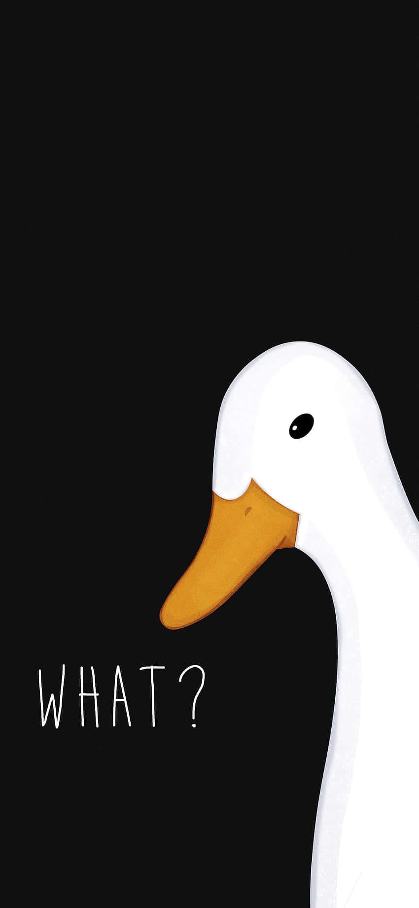 Corny Duck Art [wallpaper] Wallpaper