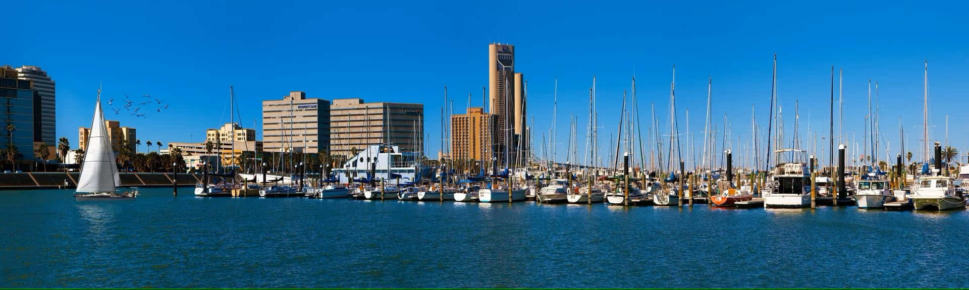 Corpus Christi Marina Panorama Wallpaper