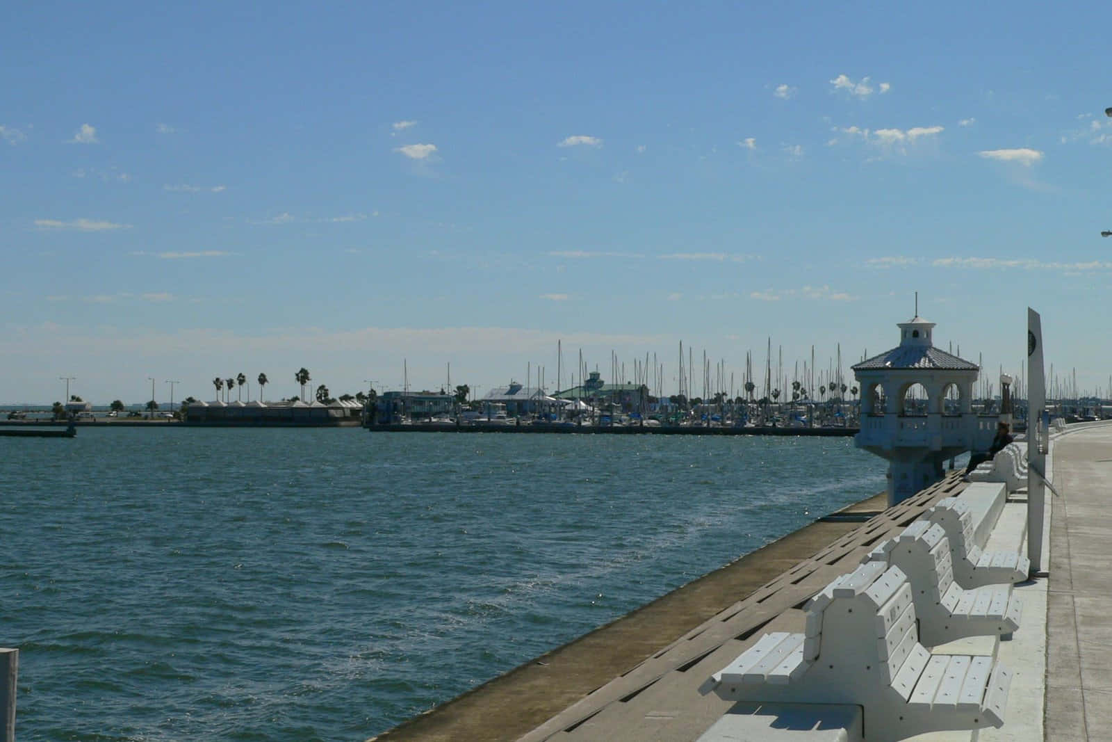 Corpus Christi Marina Sunny Day Wallpaper