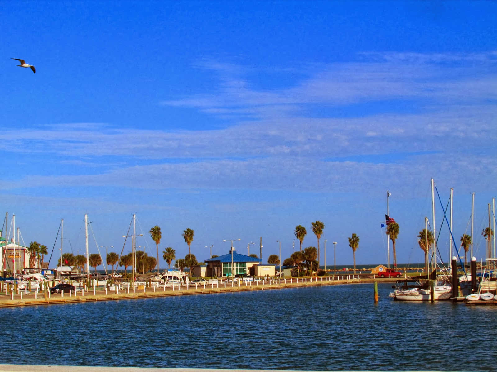 Corpus Christi Marina Sunny Day Wallpaper