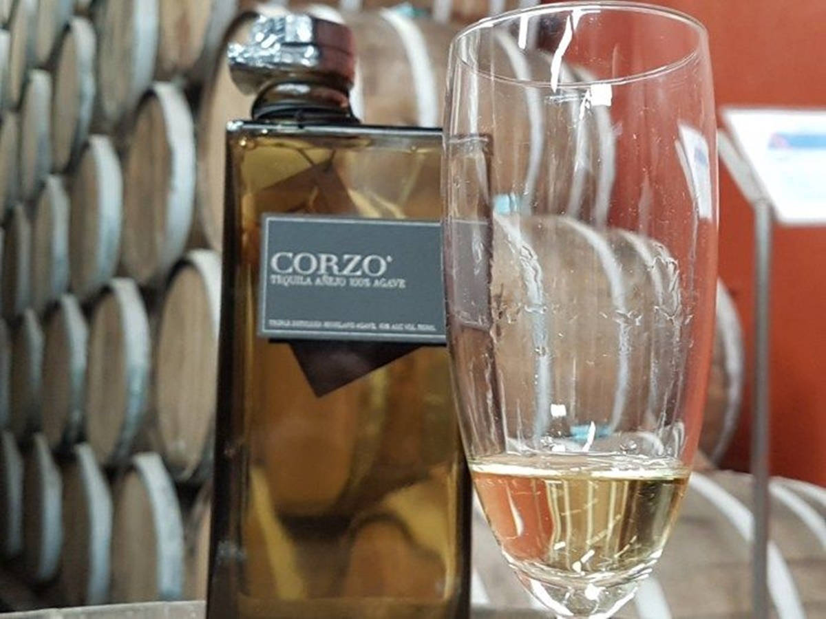 Corzo Anejo Tequila Glass Wallpaper