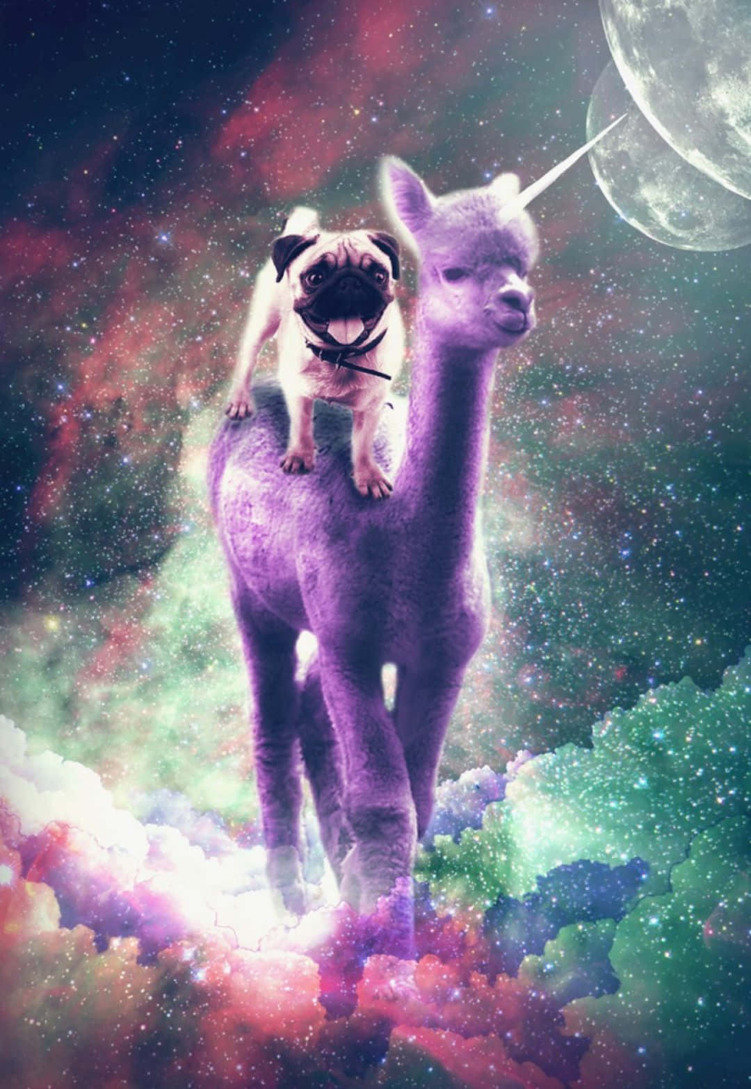 Cosmic Pug Riding Purple Alpaca Wallpaper