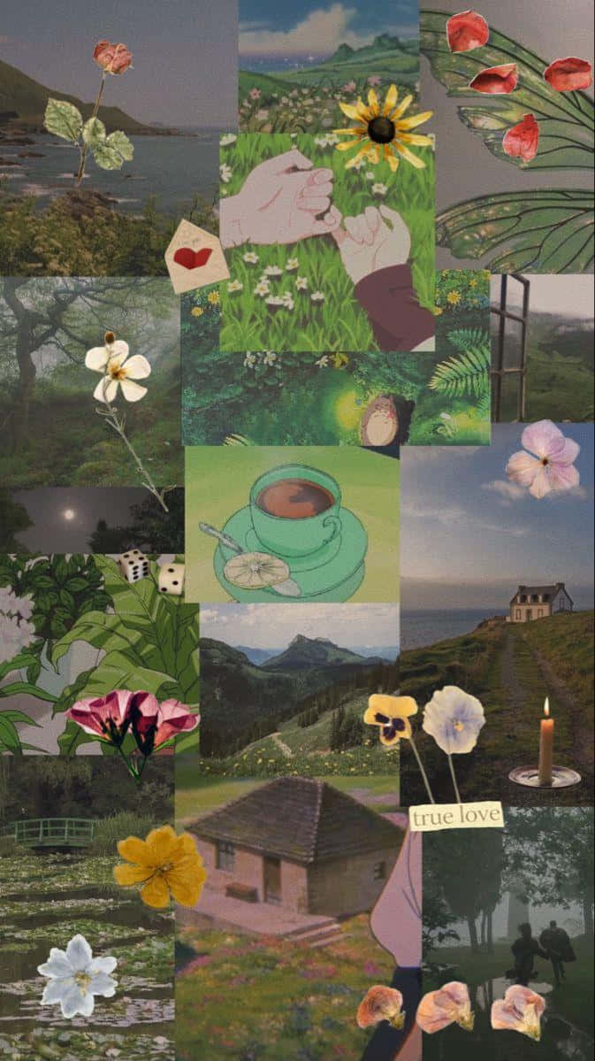 Cottage Core Collage Aesthetic.jpg Wallpaper