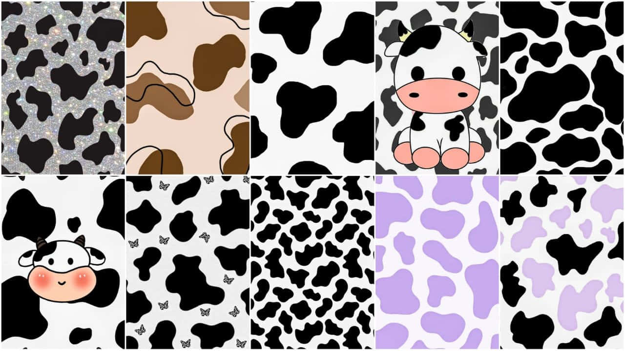 Cow Print Patternsand Cartoon Cows Wallpaper