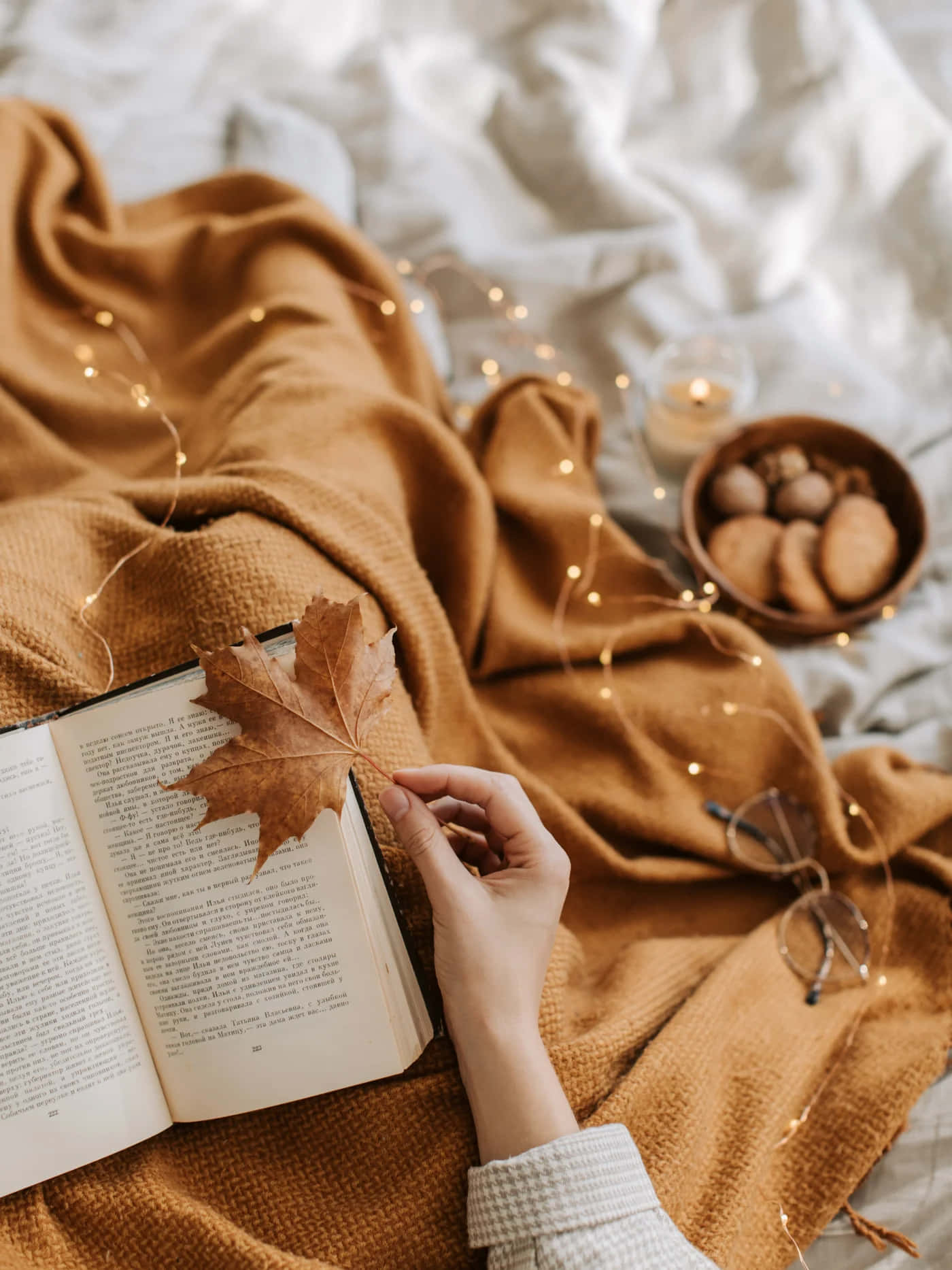 Cozy Autumn Reading Moment.jpg Wallpaper