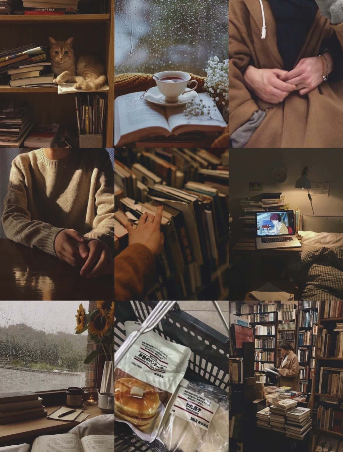 Cozy Bookish Moments_ Dark Aesthetic Wallpaper