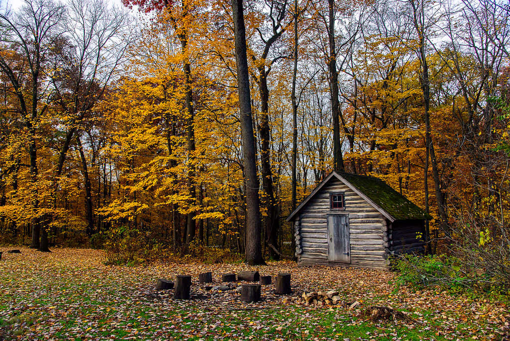 Cozy Fall Cabin In A Scenic Autumn Forest Wallpaper