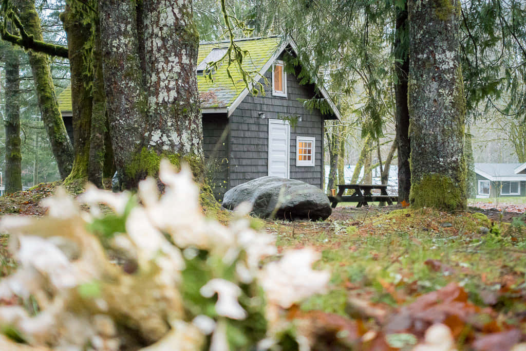 Cozy Fall Cabin In The Woods Wallpaper