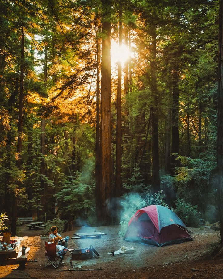 Cozy Winter Camping Setup Wallpaper