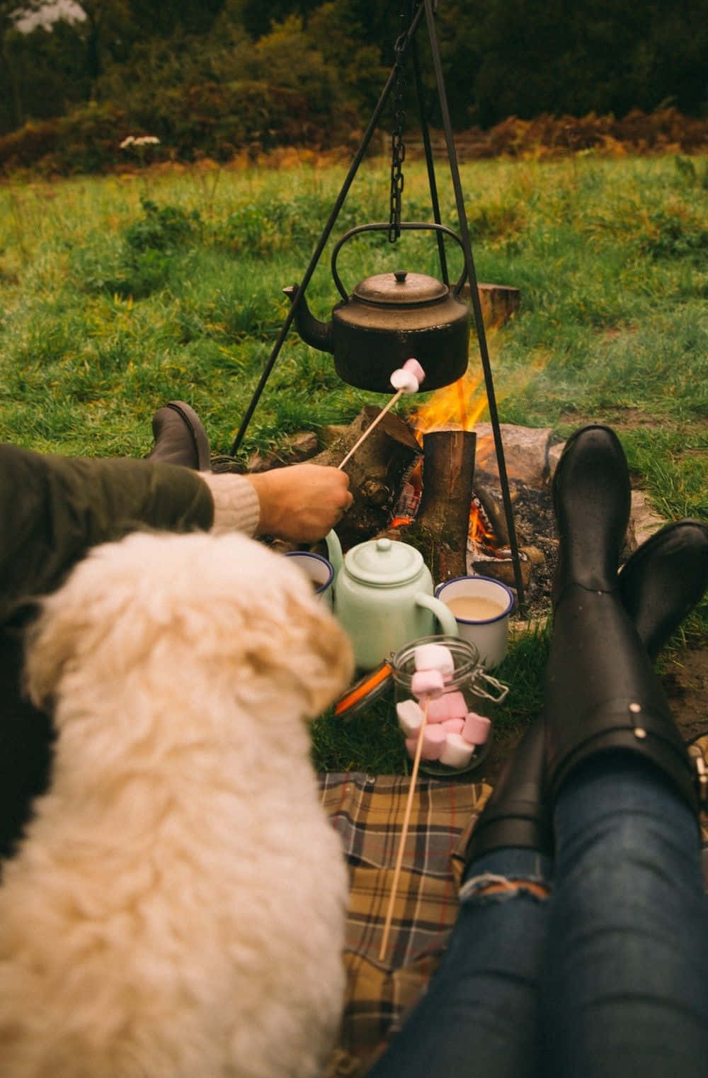 Cozy Winter Camping Under The Stars Wallpaper