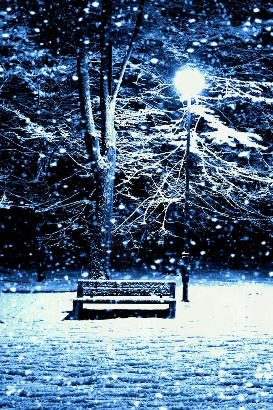 Cozy Winter Wonderland Wallpaper