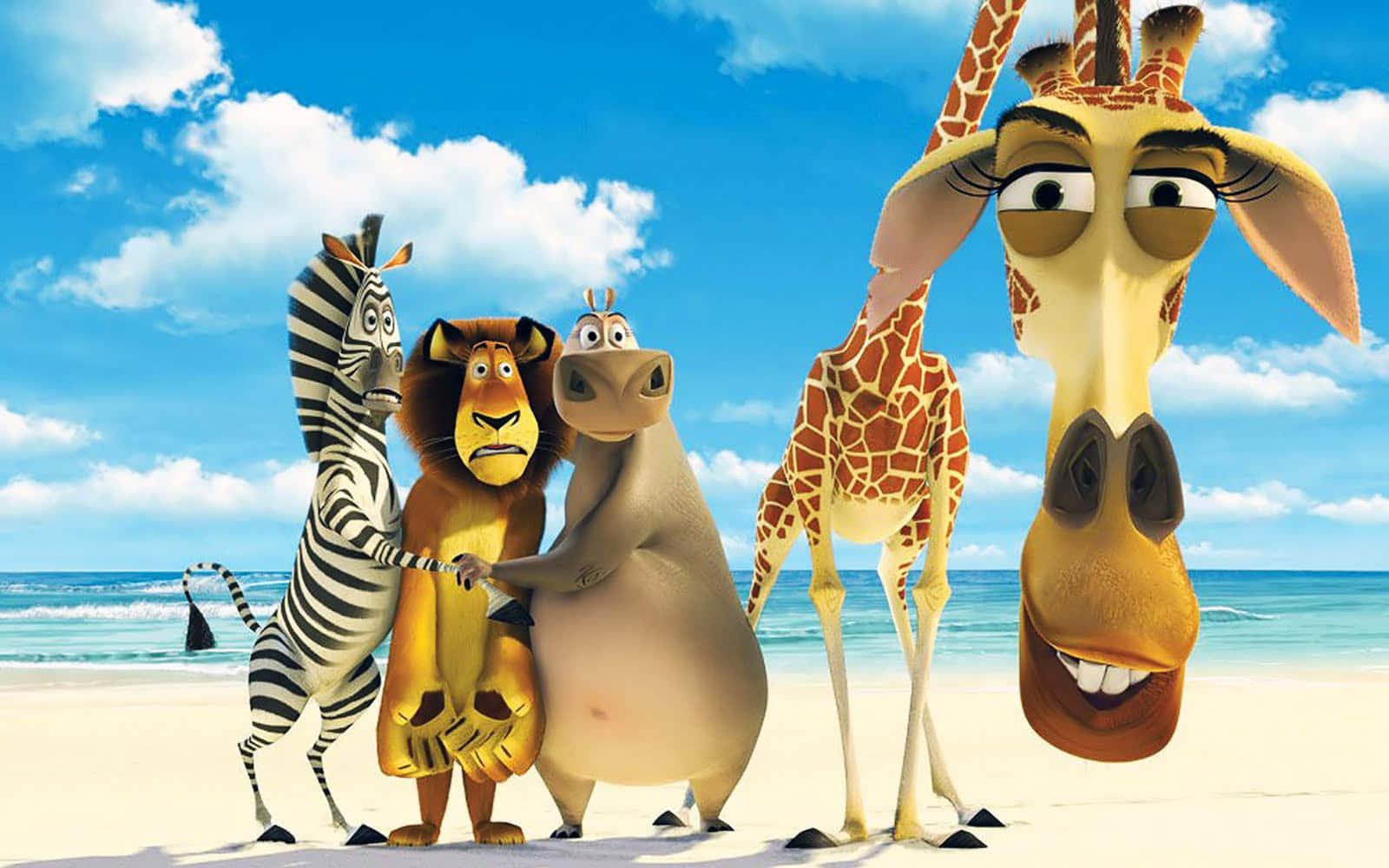 Crazy Cartoon Madagascar Movie Desktop Wallpaper