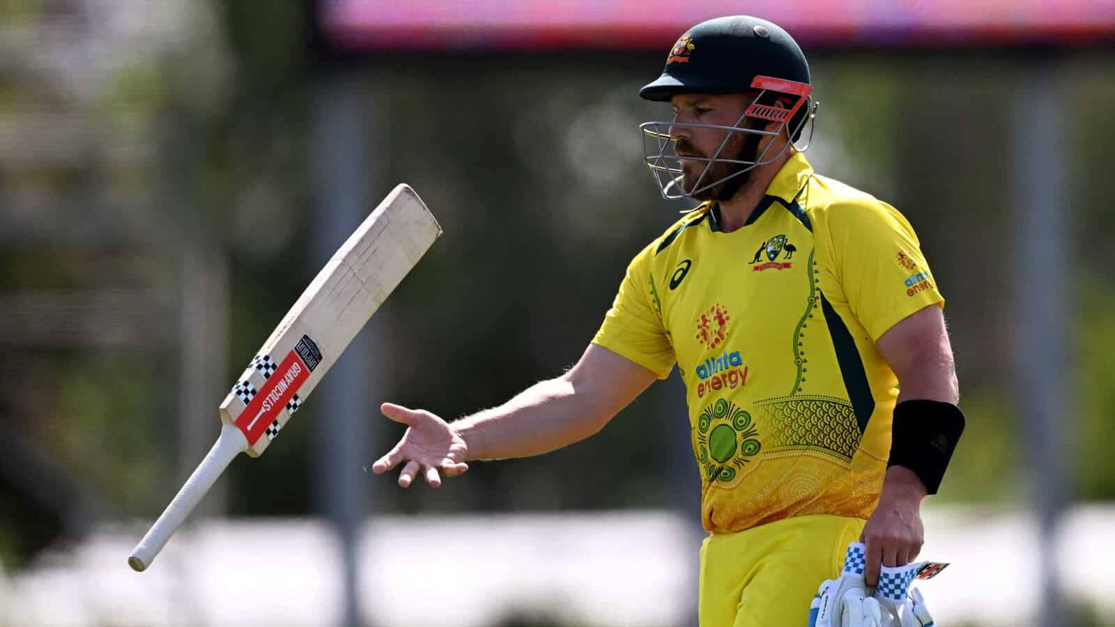 Cricket Athlete Aaron Finch Wallpaper