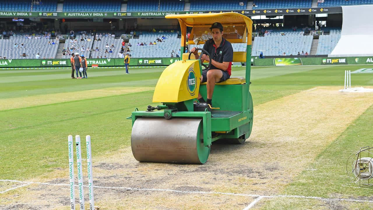 Cricket Ground Rollerat M C G Wallpaper