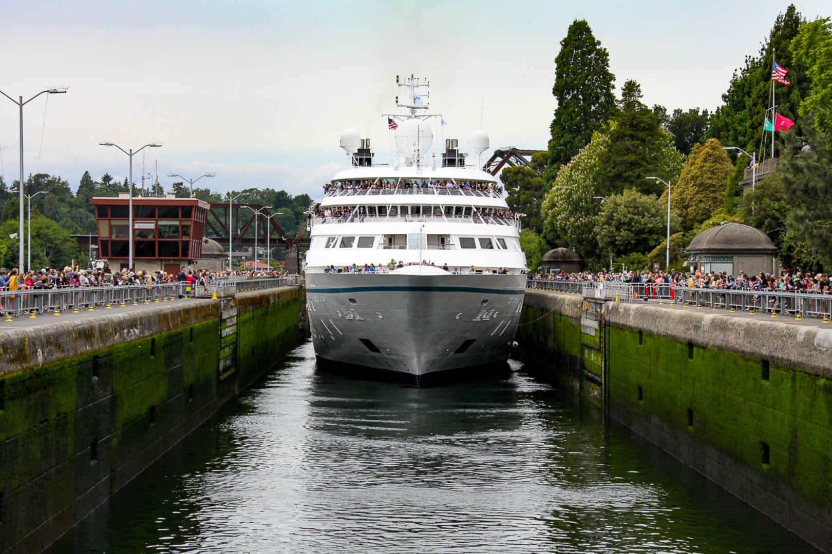 Cruise Shipat Ballard Locks Wallpaper