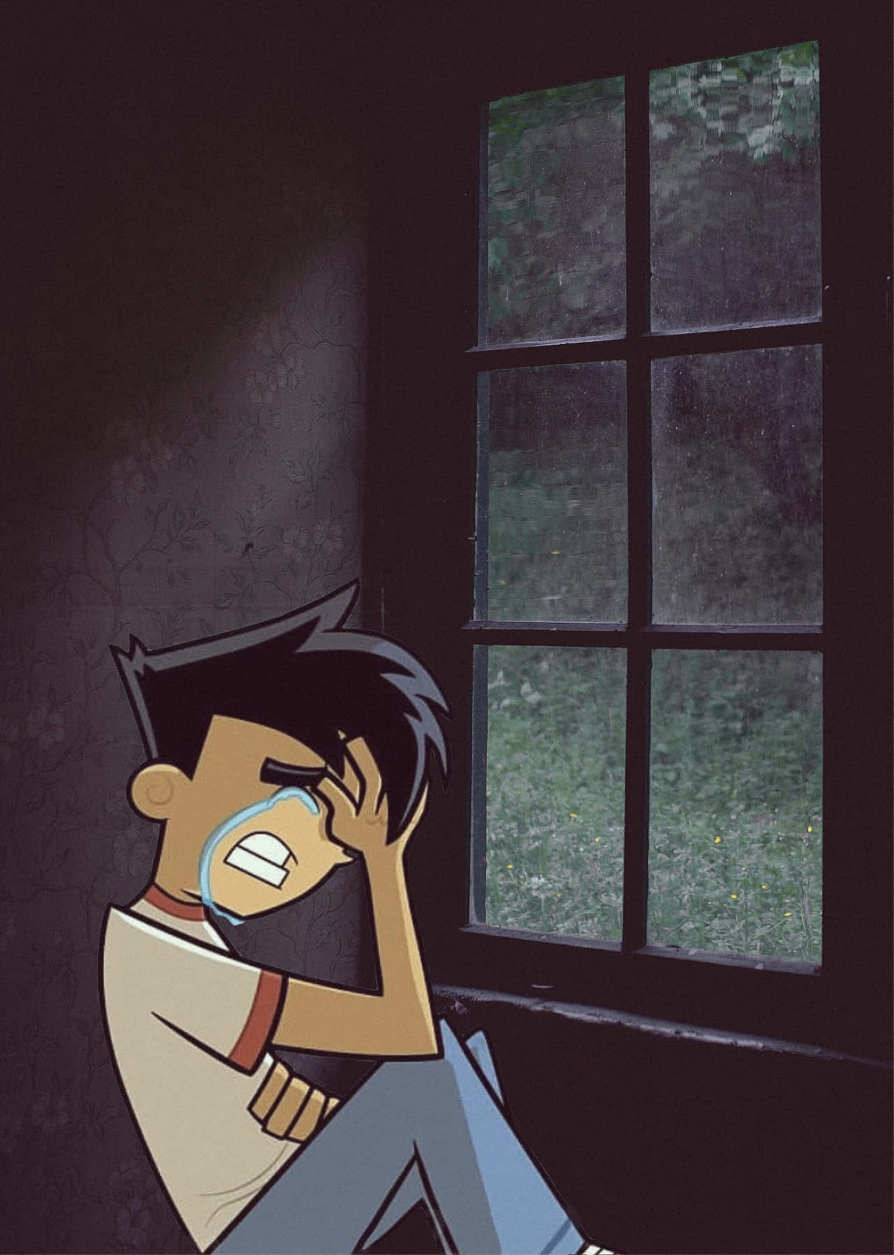 Crying Danny Phantom Pfp Wallpaper