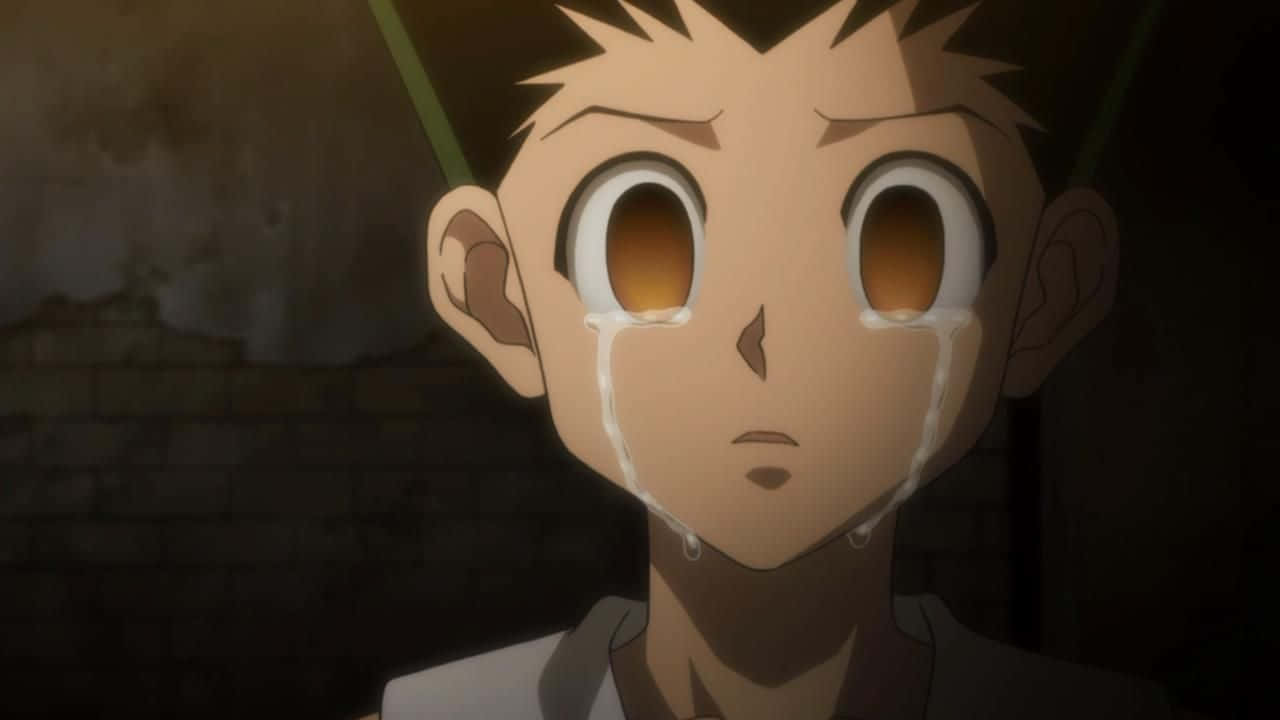 Crying Gon Hunter X Hunter Pfp Wallpaper